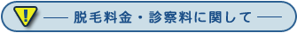 脱毛料金・診察料に関して
