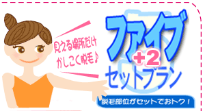 ファイブセットプラン