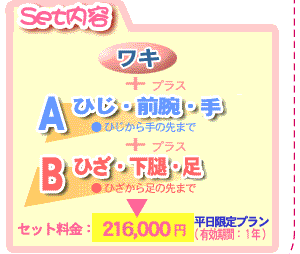 セット内容・料金